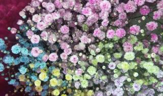 十部颜色满天星电影 十部颜色满天星电影